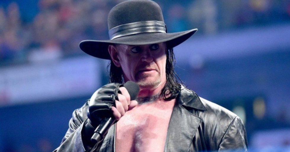 The Undertaker revela los planes sobre ''The Eggman''