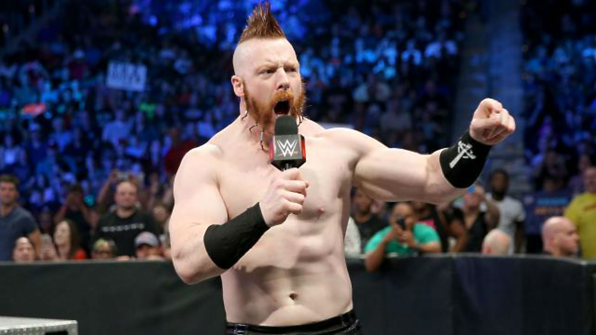 Sheamus podría haber sufrido una conmoción cerebral