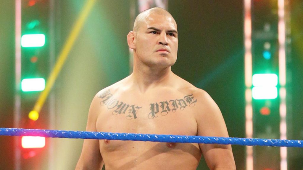 Brock Lesnar Cain Velasquez WWE