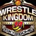 Fite TV ofrecerá Wrestle Kingdom 14 por 50 dólares Fite TV Wrestle Kingdom 14