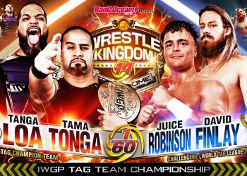 FinJuice IWGP Tag Team Championship