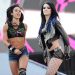 Aj Lee hernias