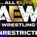 AEW anuncia la creación de su podcast AEW anuncia la creación de su podcast