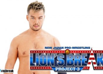 Lion´s Break Project 3