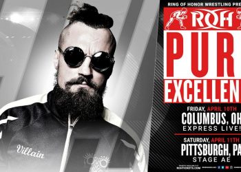 luchadores torneo pure roh