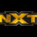 Podría haber en proceso una nueva facción en NXT NXT