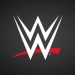 WWE Wild Card Rule