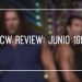 Hot Tag: WCW Year in review junio de 1996 Hot Tag WCW junio 1996
