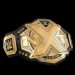 El Campeonato Mundial de NXT y el Campeonato de los Estados Unidos serán modificados Campeonato Mundial de NXT