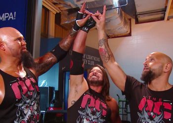 The Good Brothers Vince McMahon