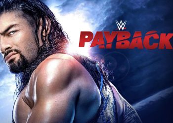 Resultados Payback 2020