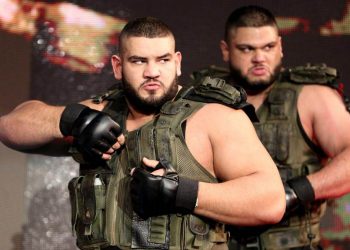 Gallus y Authors of Pain podrían llegar pronto al roster principal de WWE