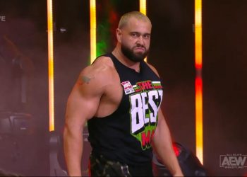 Leyenda cree que Miro pudo haber sido Campeón de WWE