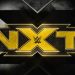 Las superestrellas de NXT, descontentas con la desobediencia del protocolo sanitario NXT