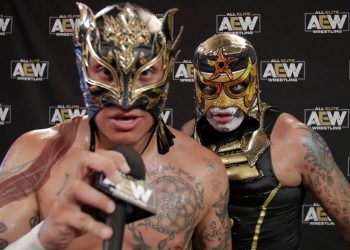 Lucha Bros