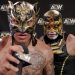 Lucha Bros