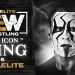 ¿Veremos a Sting semanalmente en AEW? sting