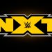 ¿Cuánto cobran las superestrellas de NXT? ¿Cuánto cobran las superestrellas de NXT?