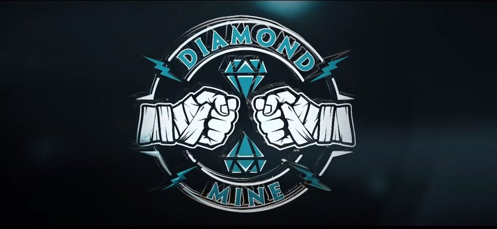 Diamond Mine, ¿una nueva marca para NXT?