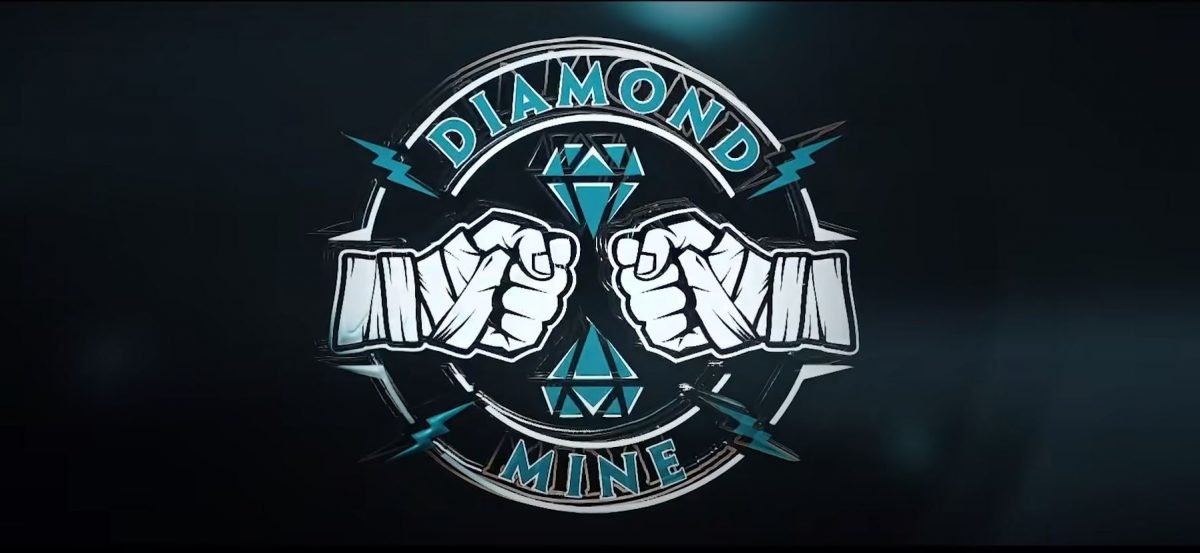 Diamond Mine, ¿una Nueva Marca Para NXT?