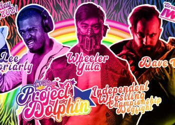 Resultados Beyond Project Dolphin