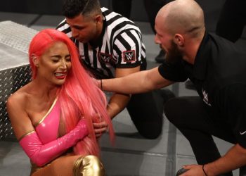 Eva Marie podría estar fuera de televisión por un tiempo