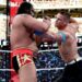 Miro: "He aprendido mucho de John Cena, es el mejor" Miro: "He aprendido mucho de John Cena, es el mejor"