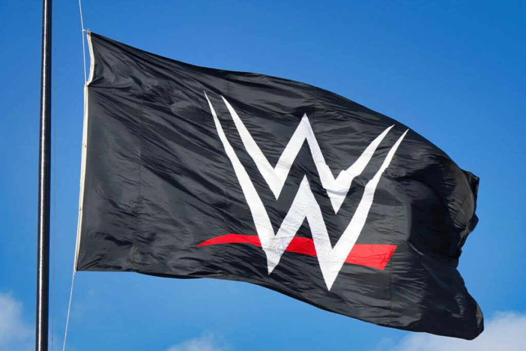 2021 se convierte en el mejor año financiero de la historia de WWE