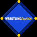 WrestlingClusion: un proyecto para fomentar la inclusión social a través de la lucha libre WrestlingClusion: un proyecto para fomentar la inclusión social a través de la lucha libre