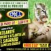 Resultados CMLL Domingo Familiar 22 de mayo de 2022 Resultados CMLL Domingo Familiar 22 de mayo de 2022