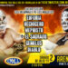 Resultados CMLL Sábado de Coliseo 2 de julio de 2022 Resultados CMLL Sábado de Coliseo 2 de julio de 2022