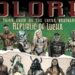 Resultados Republic of Lucha Dolores: The Lucha Brothers, Brian Cage, Matt Sydal y más Resultados Republic of Lucha Dolores: The Lucha Brothers, Brian Cage, Matt Sydal y más
