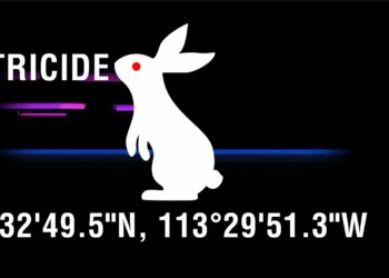 WWE muestra dos códigos QR sobre 'White Rabbit' durante SmackDown