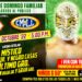 Resultados CMLL Domingo Familiar 9 de octubre de 2022