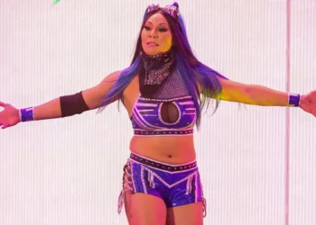 Mia Yim cierra su cuenta de Twitter tras recibir burlas e insultos por una imagen con Austin Theory