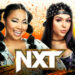 Previa WWE NXT 27 de diciembre de 2022 Previa WWE NXT 27 de diciembre de 2022