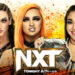 Resultados WWE NXT 31 de enero de 2023 Resultados WWE NXT 31 de enero de 2023
