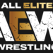 Luchadora de AEW estaría cerca de regresar tras una lesión Luchadora de AEW estaría cerca de regresar tras sufrir una lesión