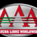 SPOILER: Nuevos Campeones por Parejas de AAA coronados AAA