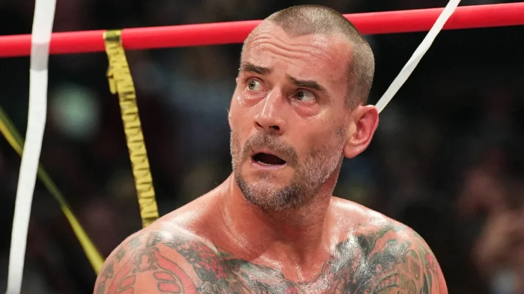 Triple H cree que los aficionados han generado expectativas poco realistas con respecto al regreso de CM Punk