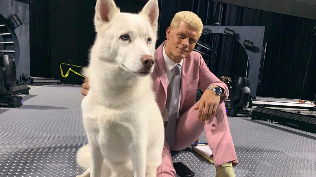 Cody Rhodes revela con qué superestrella se ha divertido más formando pareja