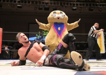 Una guía de DDT Pro - Tierra de soñadores