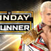 Resultados WWE Live Saginaw Sunday Stunner 19 de noviembre de 2023