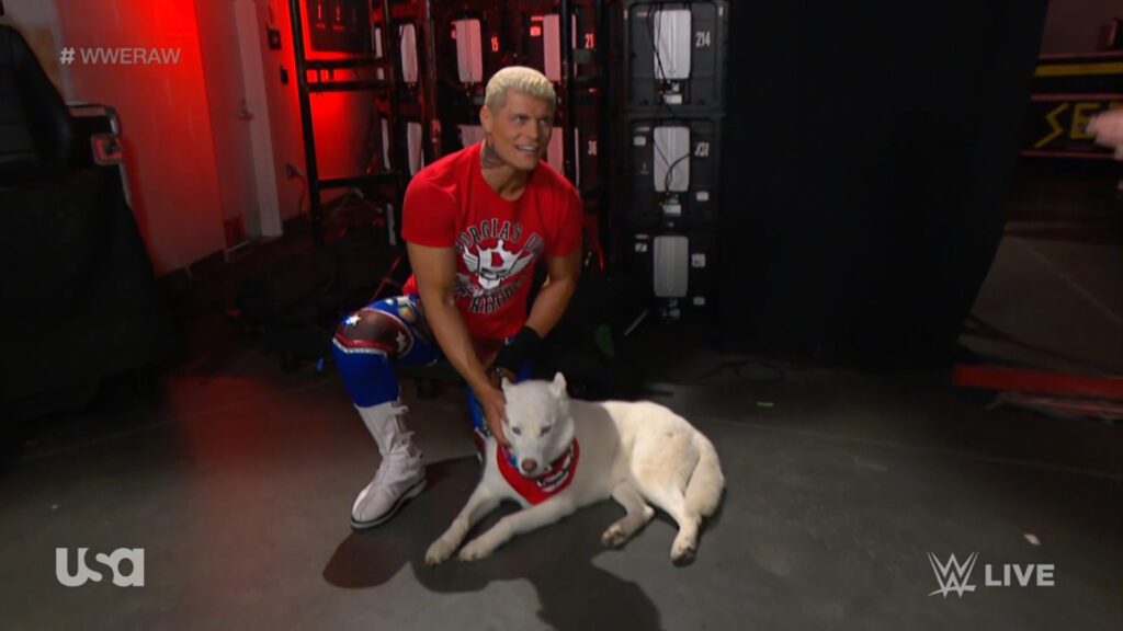 WWE lanza a la venta el peluche del perro de Cody Rhodes, Pharaoh