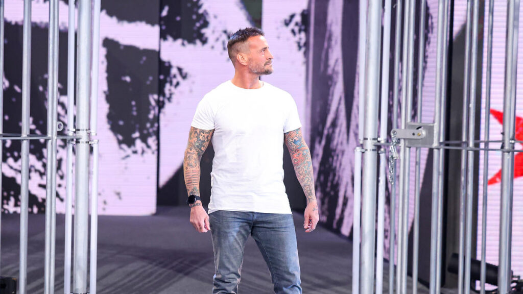 POSIBLE SPOILER: plan para el segmento de CM Punk en WWE SmackDown