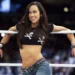 WWE intentó traer en varias ocasiones a AJ Lee de regreso WWE intentó traer en varias ocasiones a AJ Lee de regreso