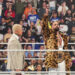Seth Rollins reacciona al comentario de The Rock llamándolo "pequeña novia" de Cody Rhodes Seth Rollins reacciona al comentario de The Rock llamándolo 'pequeña novia' de Cody Rhodes