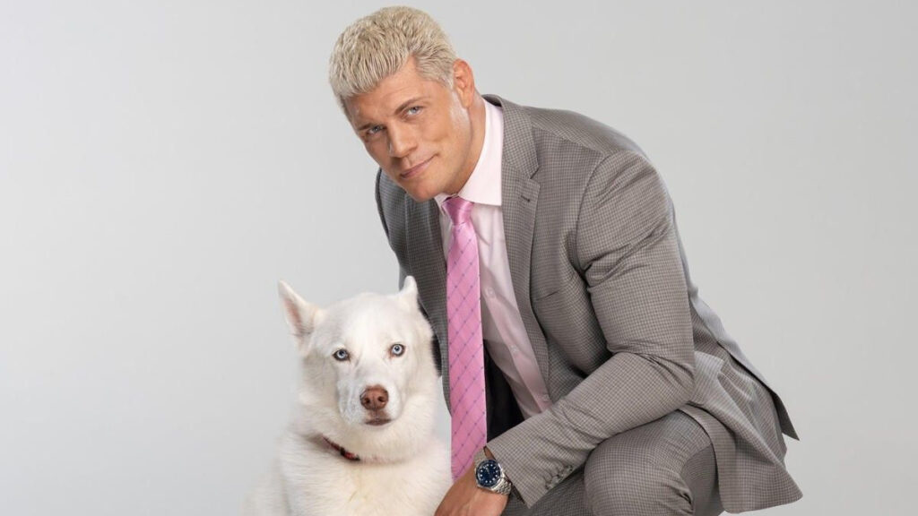 The Rock vuelve a meterse verbalmente con el perro de Cody Rhodes, Pharaoh