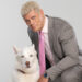 Brian Gewirtz, creativo personal de The Rock, sobre Pharaoh: "Es sólo un perro estúpido" Brian Gewirtz, creativo personal de The Rock, sobre Pharaoh: "Es un sólo un perro estúpido"