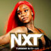 Previa WWE NXT 28 de mayo de 2024 Previa WWE NXT 28 de mayo de 2024